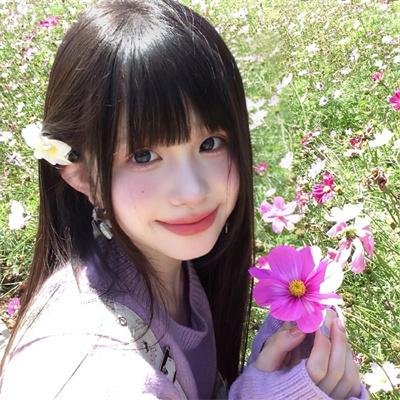 哈吉布基的森林冒险